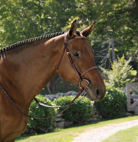 Suffolk™ Classic Hunter Bridle