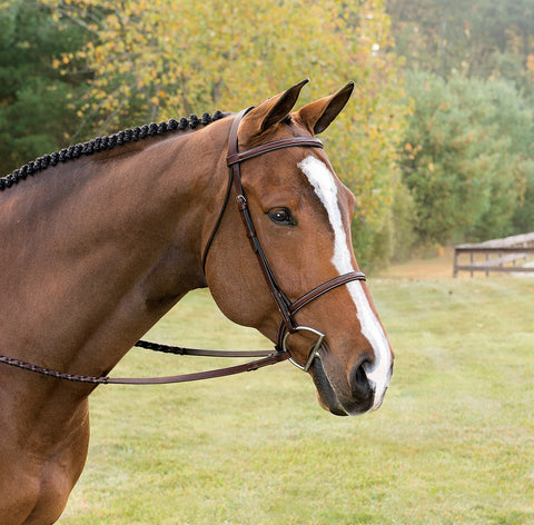 Suffolk™ Classic Hunter Bridle
