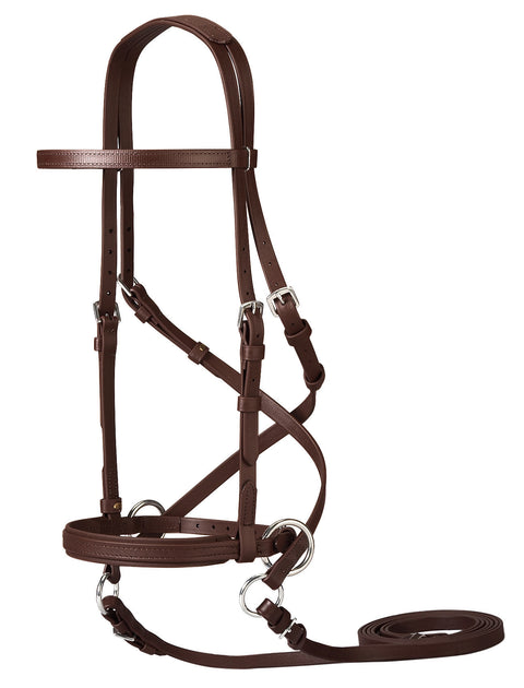 Dr. Cook's Beta BitlessBridle™