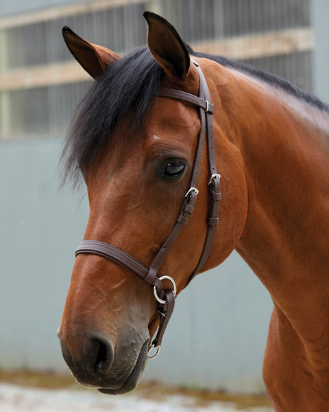 Dr. Cook's Beta BitlessBridle™