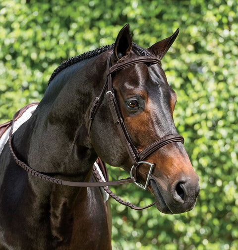 Suffolk™ Single Crown Hunter Bridle