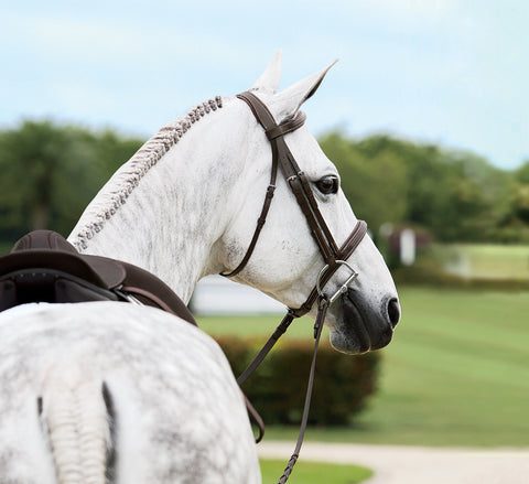 Suffolk™ Single Crown Hunter Bridle