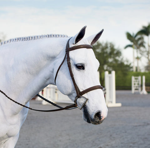 Suffolk™ Single Crown Hunter Bridle