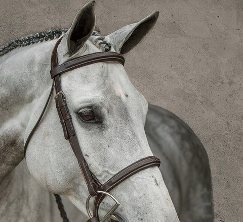 Suffolk™ Single Crown Hunter Bridle