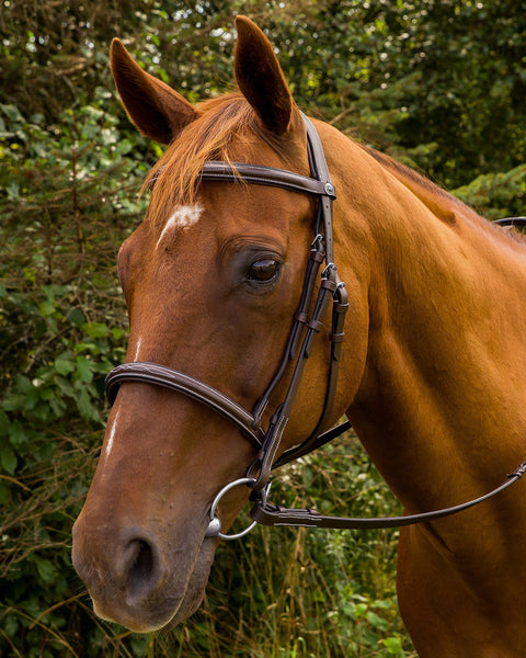 Henri de Rivel Pro Mono Crown Fancy-Stitched Padded Bridle with Laced Reins