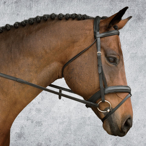 Suffolk™ Single Crown Padded Dressage Bridle