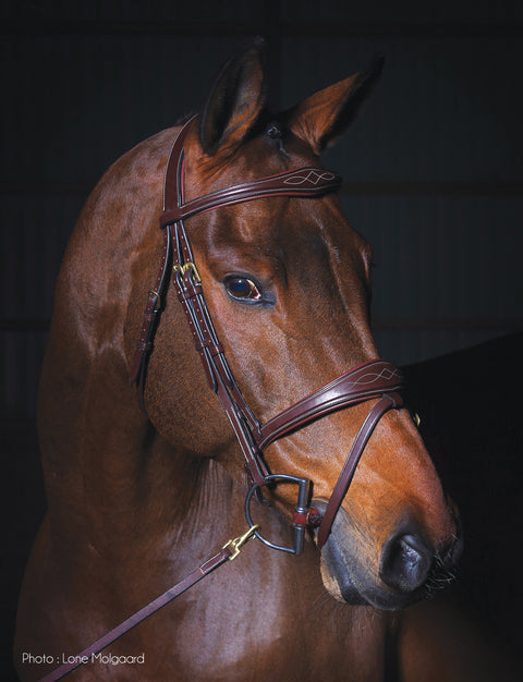 Dy'on® Anatomic Bridle