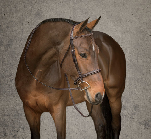 Showmark® Premier Hunter Bridle