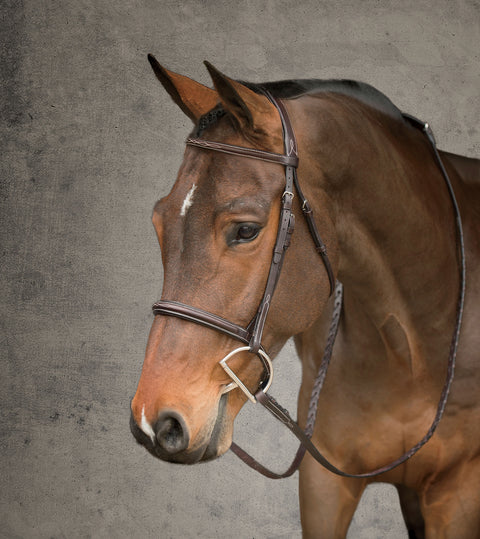 Showmark® Premier Hunter Bridle