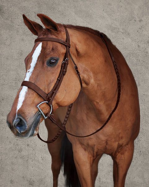 DS Premier Hunt Bridle