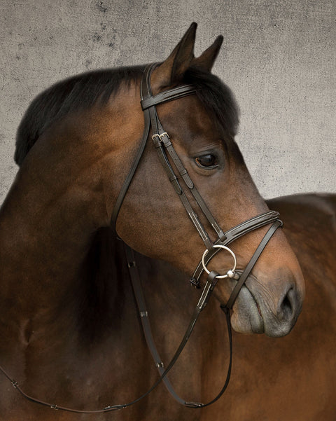 DS Single Crown Flash Bridle