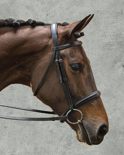 Suffolk™ Single Crown Classic Dressage Bridle