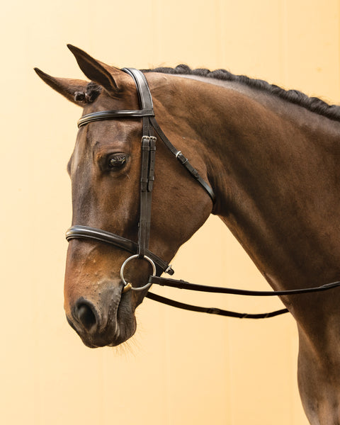 Suffolk™ Single Crown Classic Dressage Bridle