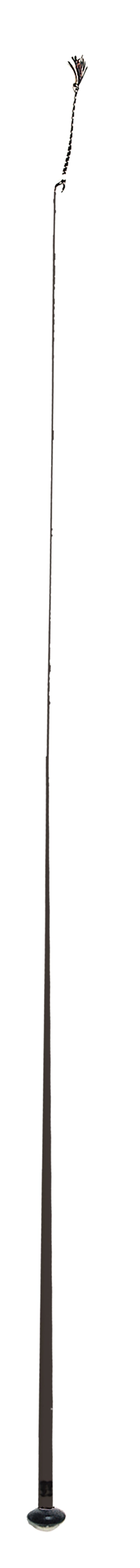 US Whip Piaffe Whip - Black / 60 - Dressage Whips