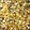 Twinkle® Ultra Fine Horse Glitter