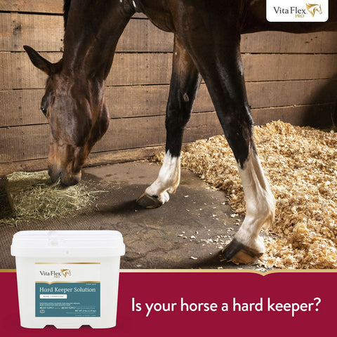 Vita Flex® Pro Hard Keeper™ - 6 to 10.99 lb - Weight Gain Supplements