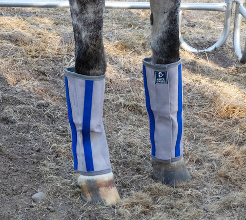 Majyk Equipe®Fly-Bye Boots Pack of 4