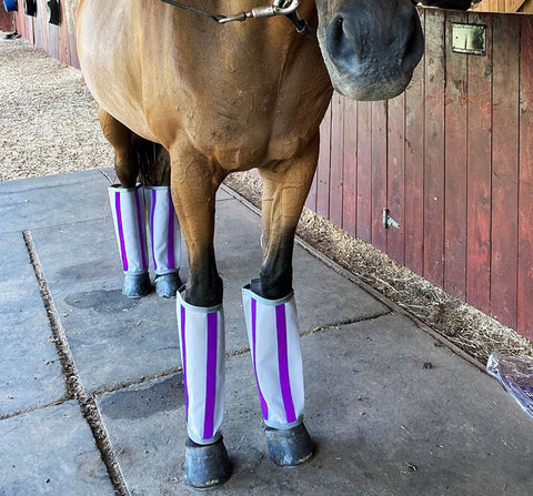 Majyk Equipe®Fly-Bye Boots Pack of 4