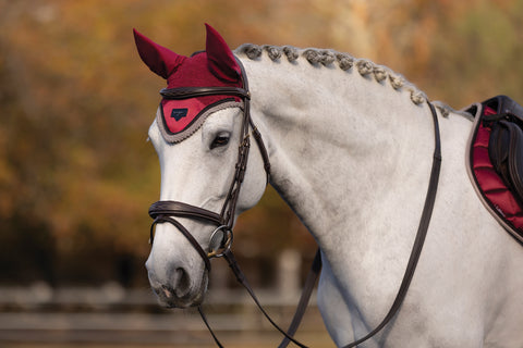 LeMieux® Loire Fly Bonnet