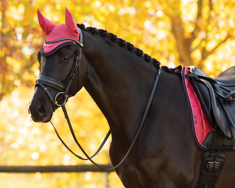 LeMieux® Loire Fly Bonnet
