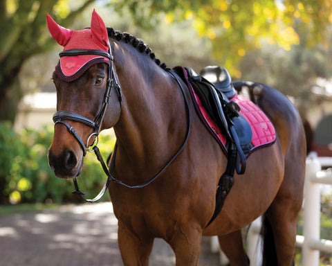 LeMieux® Loire Fly Bonnet