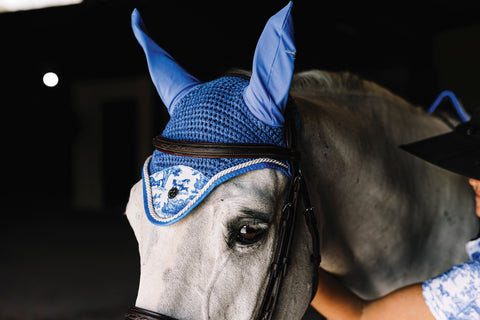 Dapplebay Equestrian Toile Fly Veil