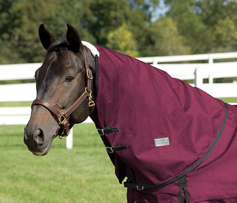 Rider’s International™ Supreme Neck Cover