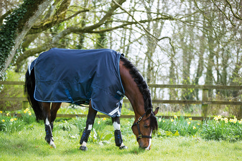 Horseware® Ireland Amigo® Bravo 12 Heavyweight Turnout Blanket