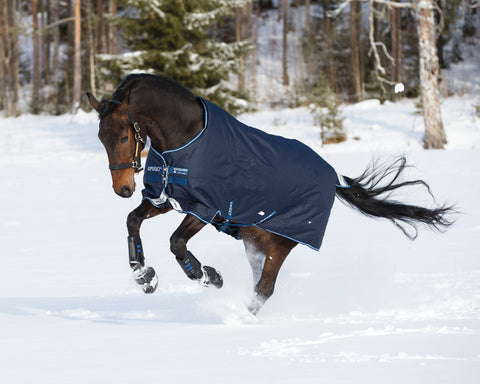 Horseware® Ireland Amigo® Bravo 12 Heavyweight Turnout Blanket