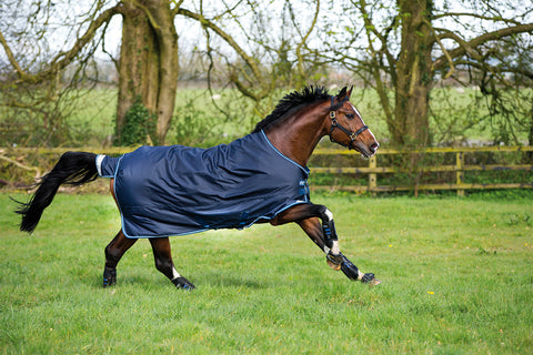 Horseware® Ireland Amigo® Bravo 12 Heavyweight Turnout Blanket