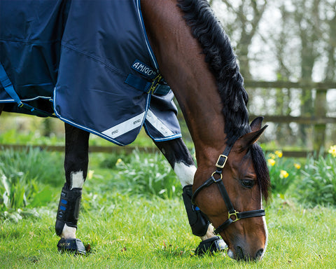 Horseware® Ireland Amigo® Bravo 12 Turnout Sheet