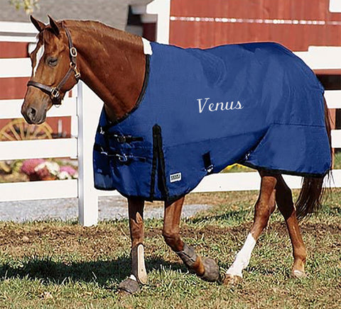 Rider’s International™ Supreme Heavyweight Turnout Blanket