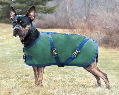 Rider’s International™ Dog Turnout Sheet