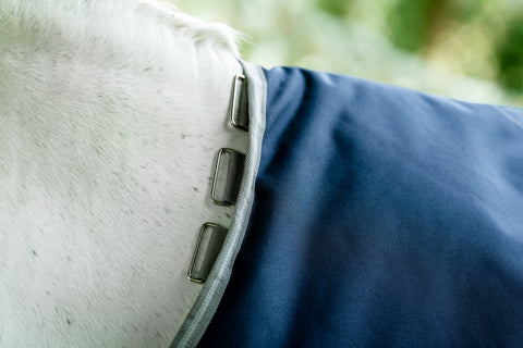 Amigo® Bravo 12 Semi-Lite Weight Turnout Blanket