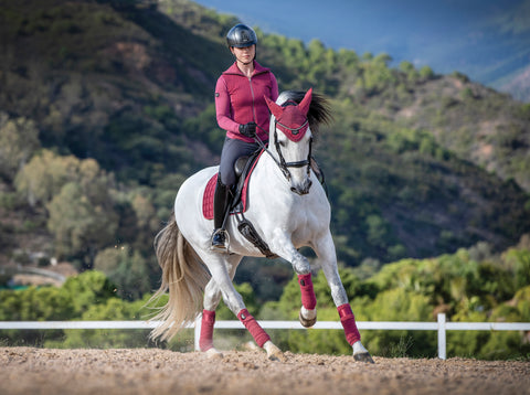 LeMieux® Loire Polo Bandages