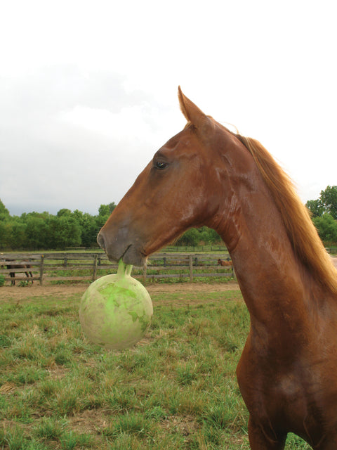 Horsemen's Pride™ Scented Jolly Ball®