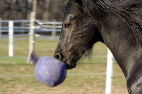 Horsemen's Pride™ Scented Jolly Ball®