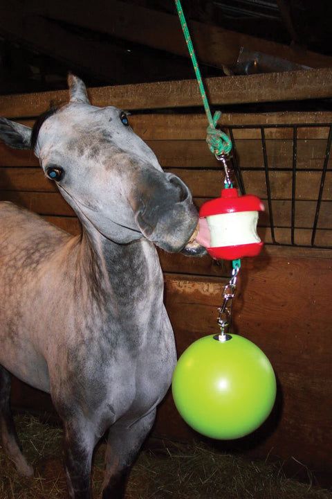 Jolly Stall Snack System Horse Toy