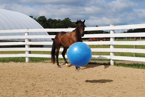 Jolly Mega Ball