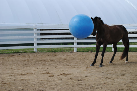Jolly Mega Ball
