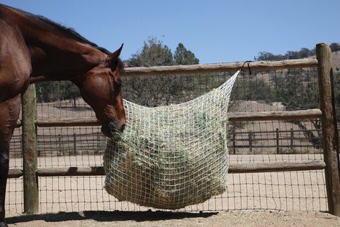Freedom Feeder® Extended Day Net - 1"