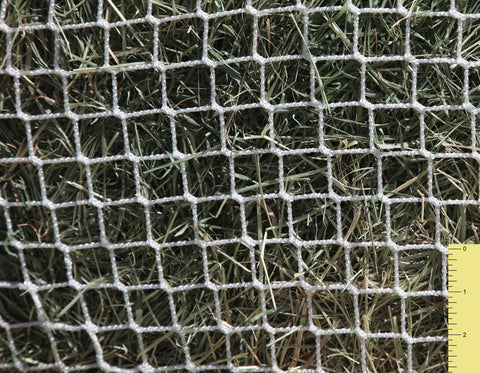 Freedom Feeder® Extended Day Net - 1"