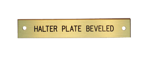 Beveled Edge Halter Nameplate - 3 lines