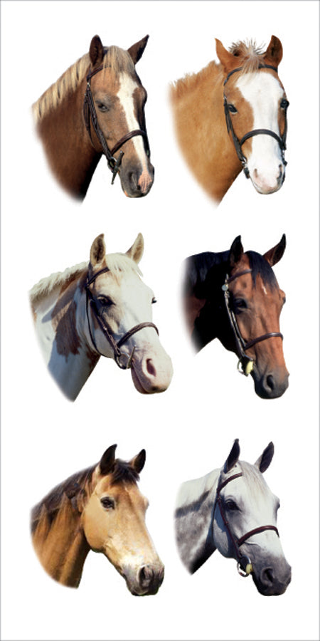 Horse Stickers
