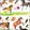 Kelley and Company Colorful Horse Stickers