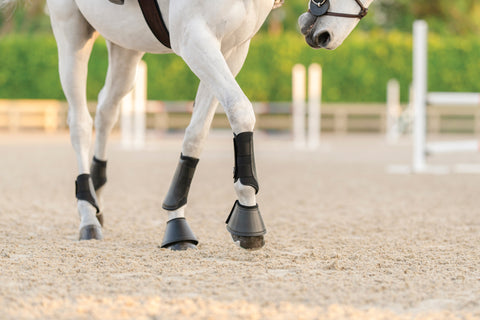 EquiFit® Essential EveryDay Front Boot