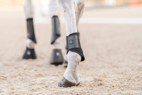 EquiFit® Essential EveryDay Hind Boot