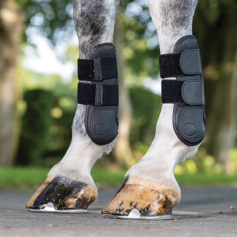 LeMieux® Capella Tendon Boots