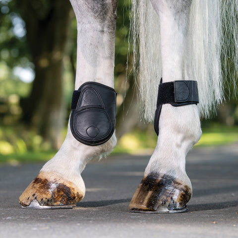 LeMieux® Capella Fetlock Boots