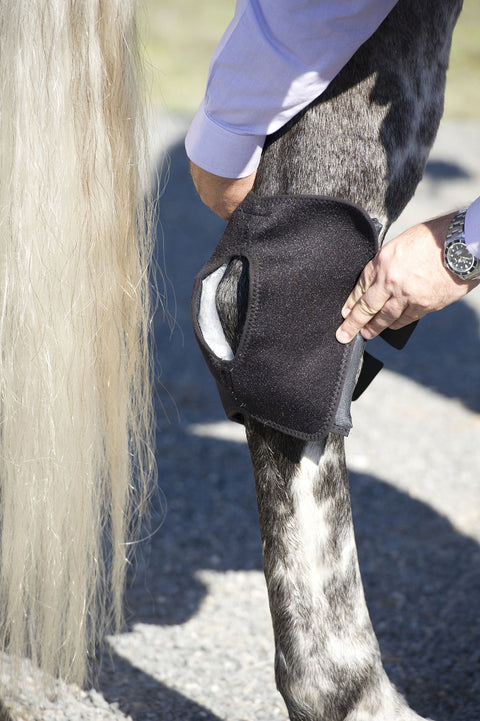 Ice Horse® Pony Hock Wrap – Pair - Pony - Therapy Horse